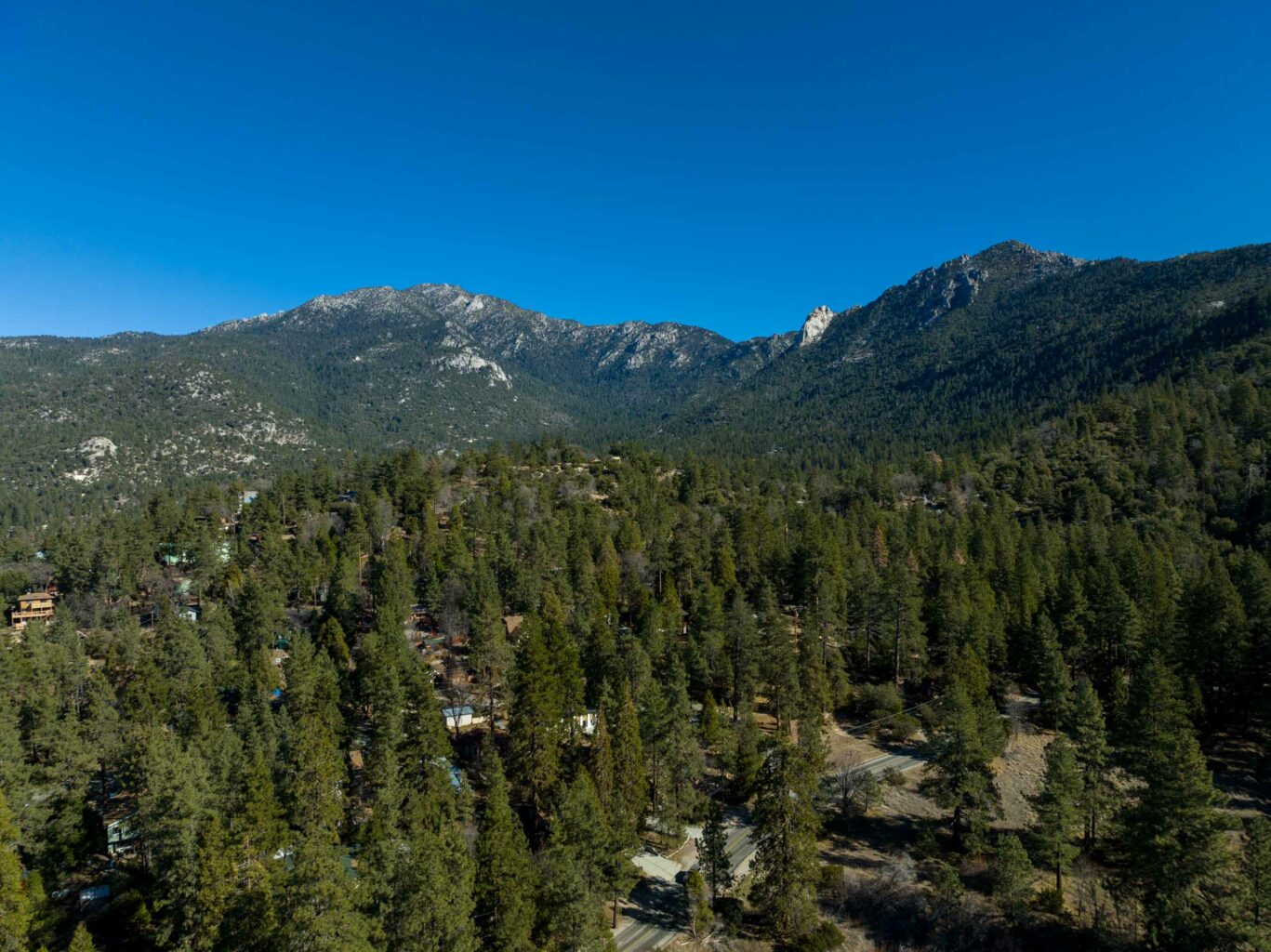 Aerial view of trees and mountains.