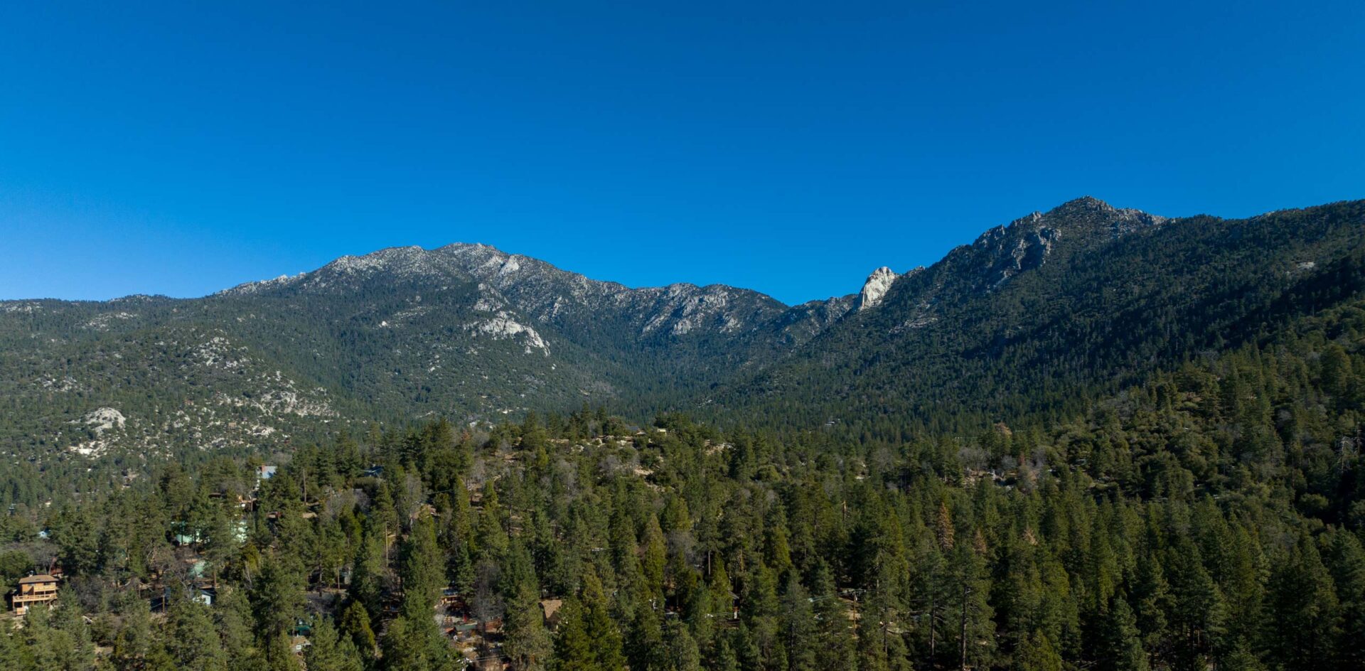 Aerial view of trees and mountains.